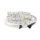 Світлодіодна LED стрічка гнучка PROlum ™ RGB + W 12V IP20 5050 \ 60 Series SG
